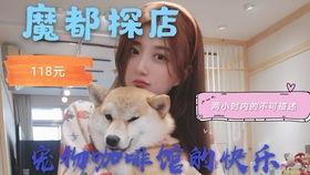 我被寻亲爸妈宠上天