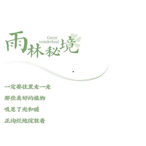 暖光重绽,探寻温暖时光中的美好瞬间